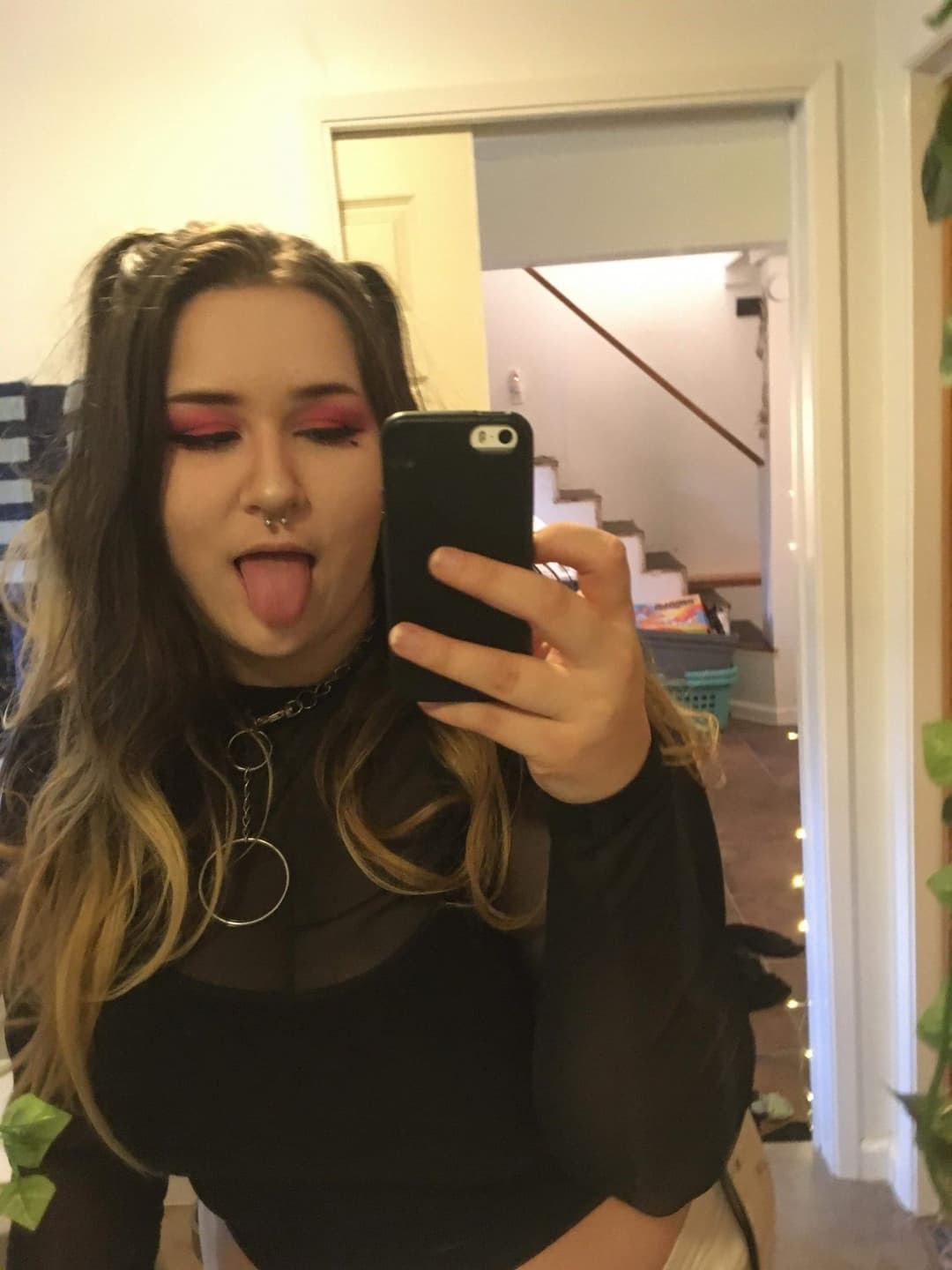 pig dumb ugly disgrace