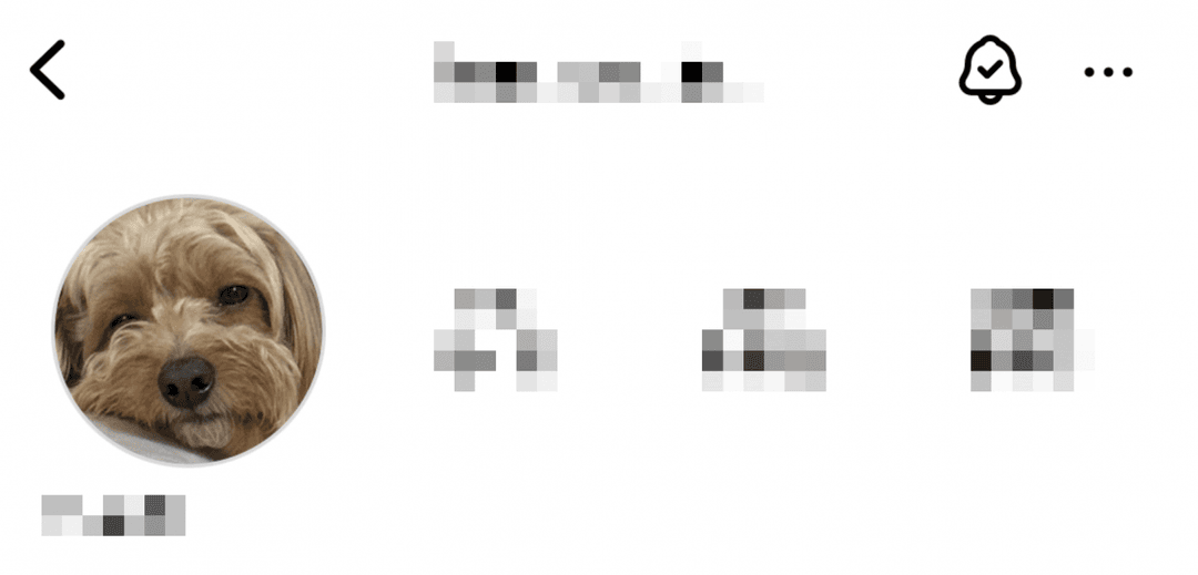 Korean Fap Collection 5