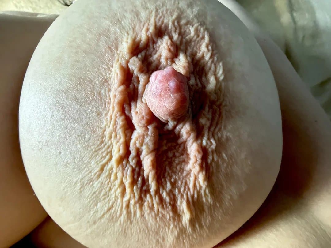 Big Cow Udders with Hard Nipples