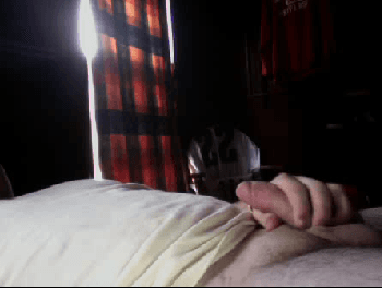 Cocks of Chatroulette 3