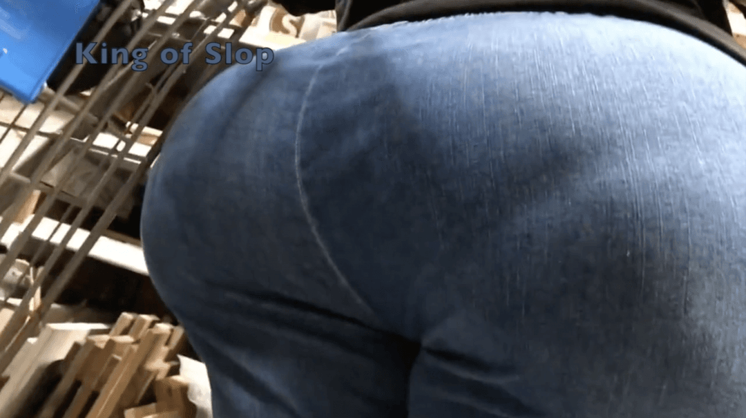Dry Hump My Big Sloppy SSBBW Ass In Public