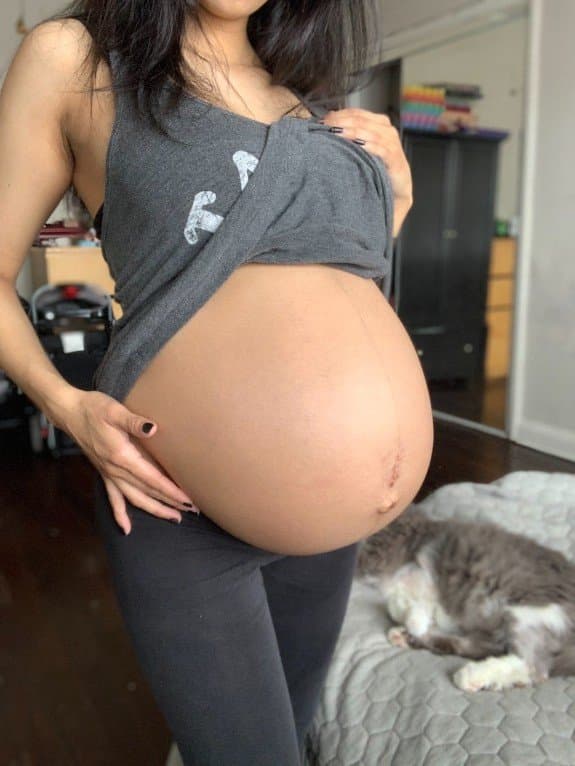 Ember Bastet Big Pregnant Belly