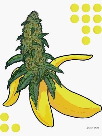 Oakbanana Express ®️ Rated Ⓜ️ [Announcement]