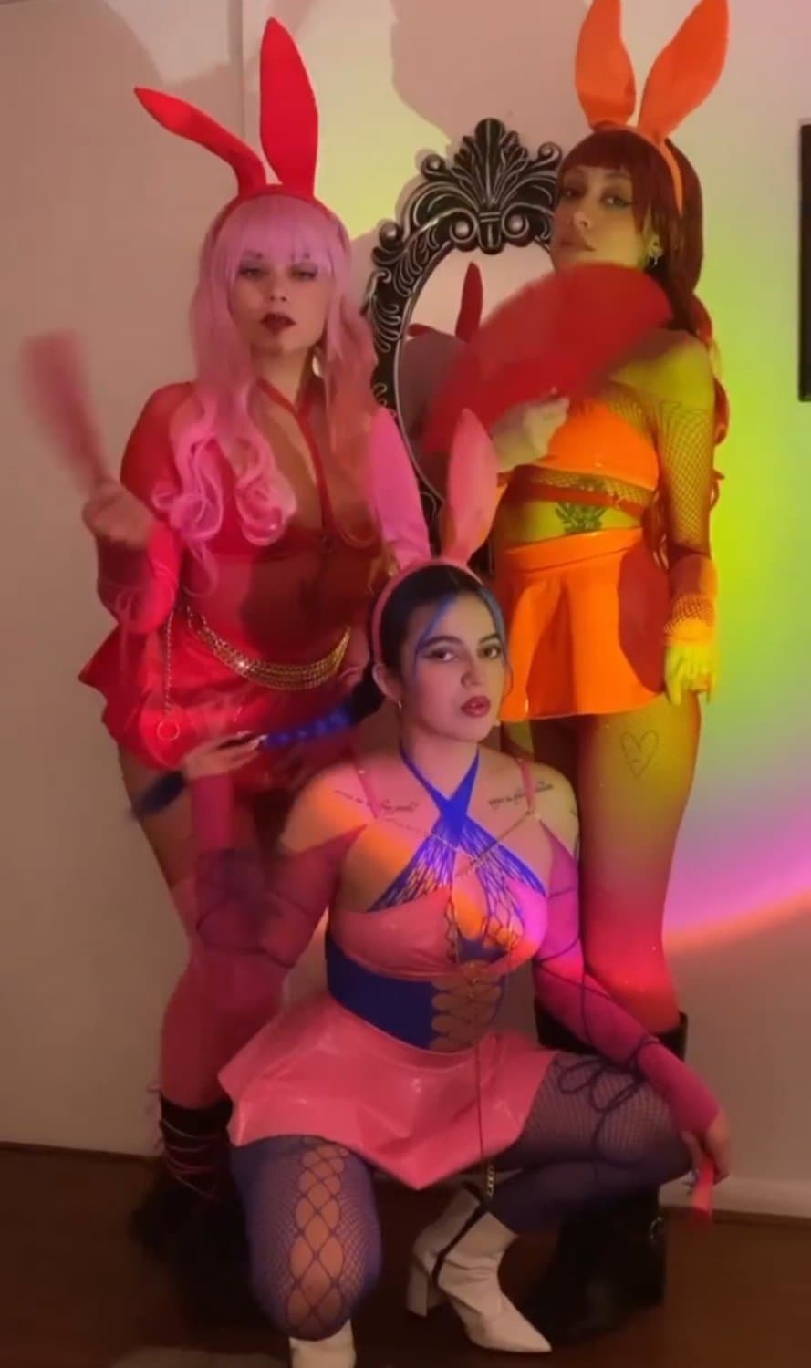 Malayedra chilena gogodancer