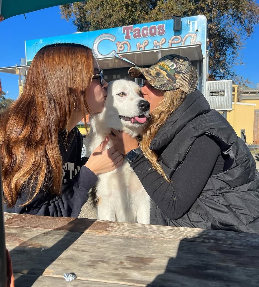 Calla pt 3 (leave a like and follow me for more)