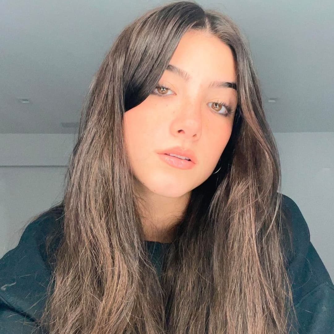 Charlie hotd‘amelio ??