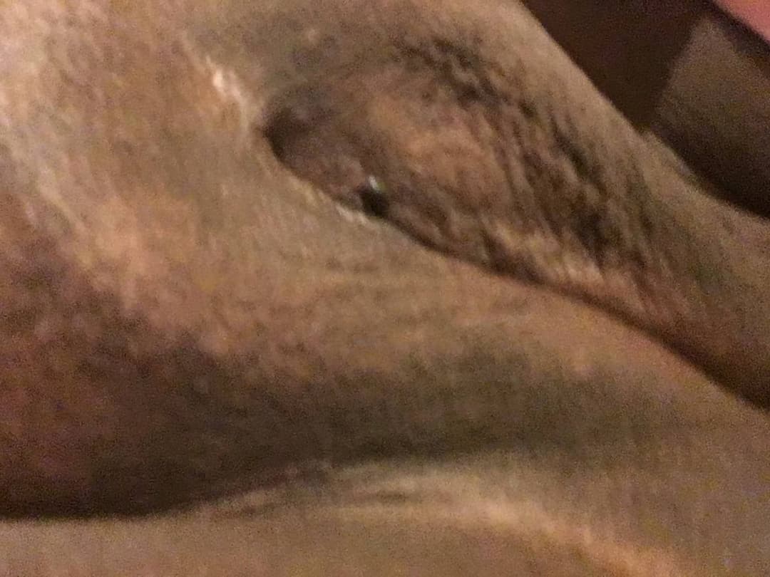 Pretty face pretty pussy