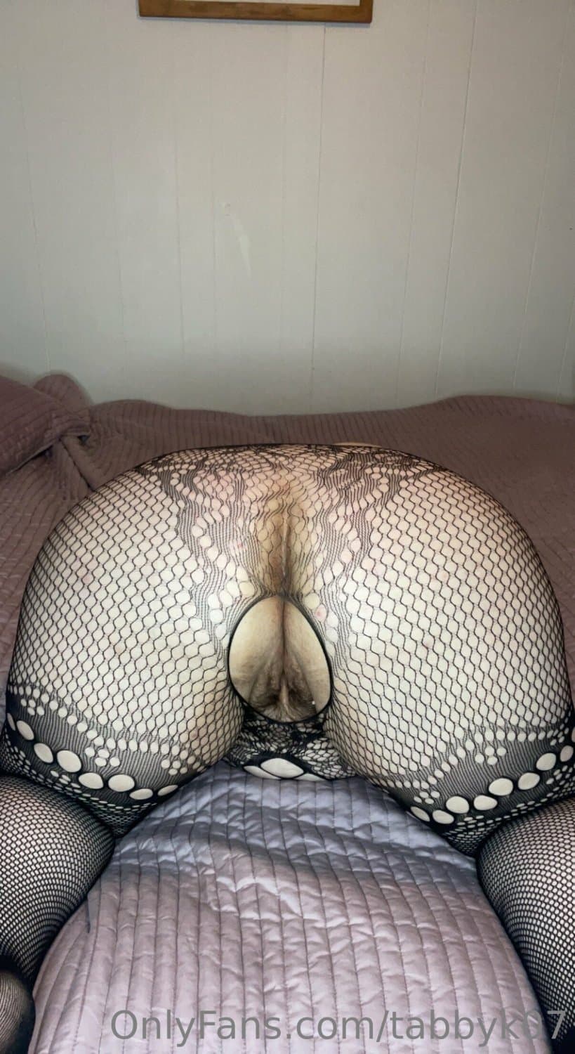 Fat Ass Tabby 1