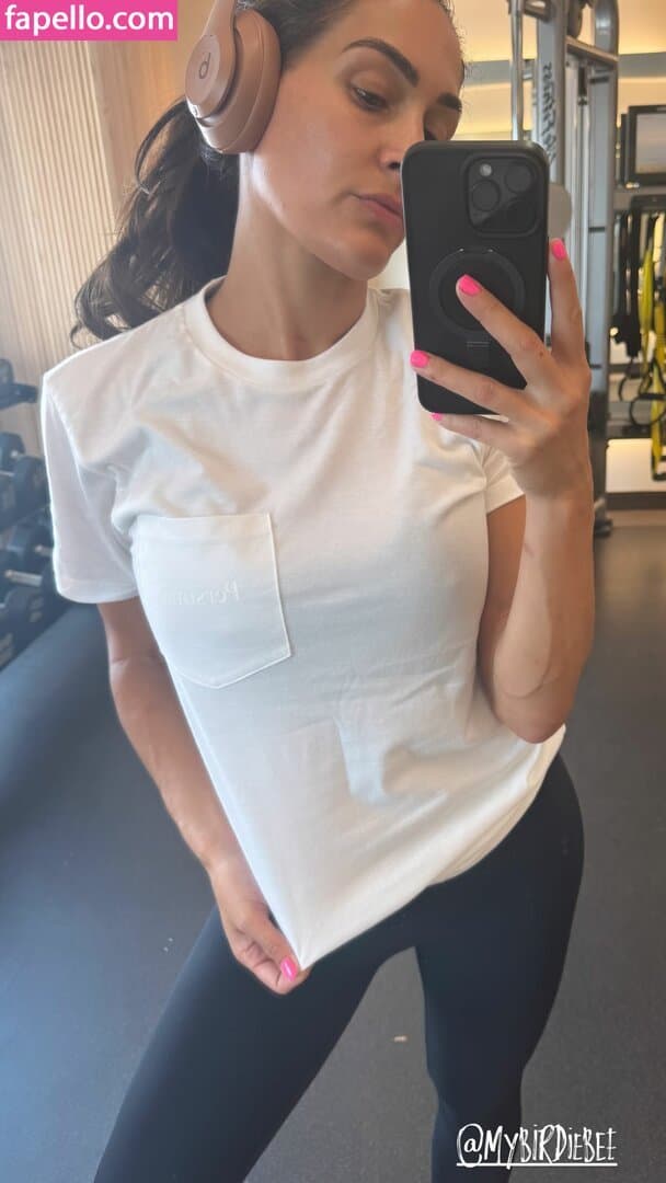 Nikki bella Brie bella