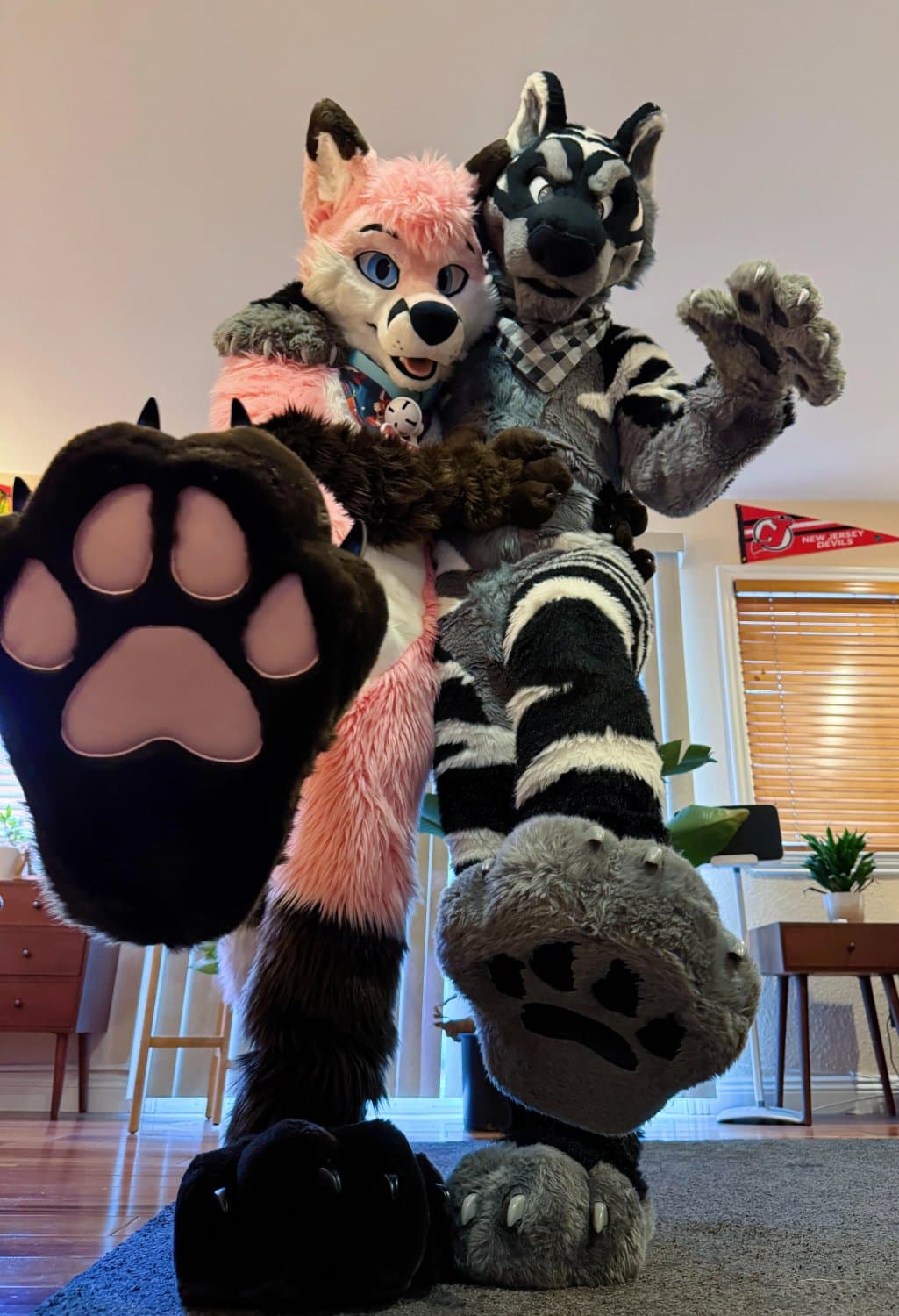 FURRY PAWS FURRY PAWS FURRY PAWS