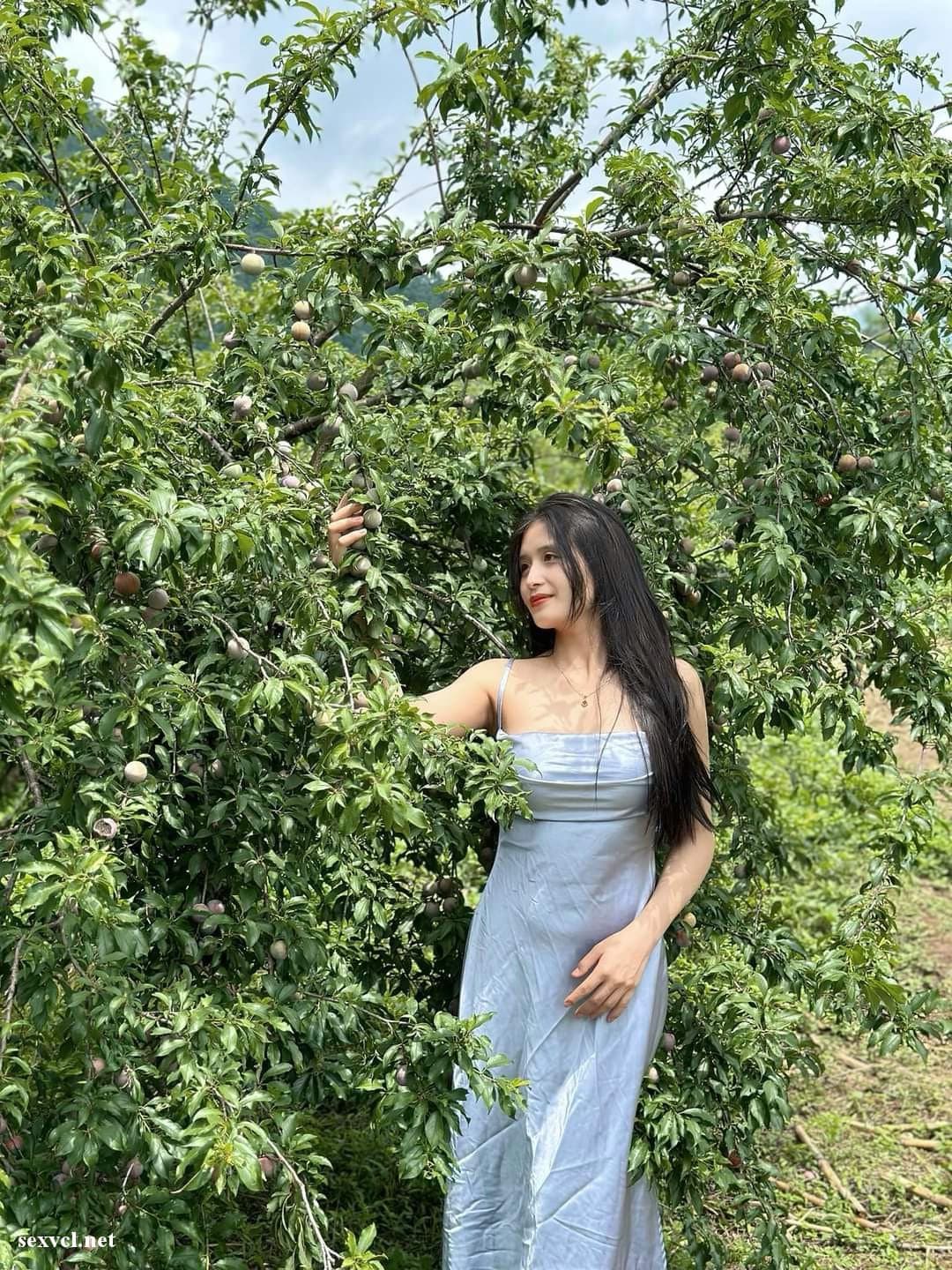 Gái gọi Lò Thị Mai, Gái gọi Tân Uyên Lai Châu, Gái gọi Tây Bắc