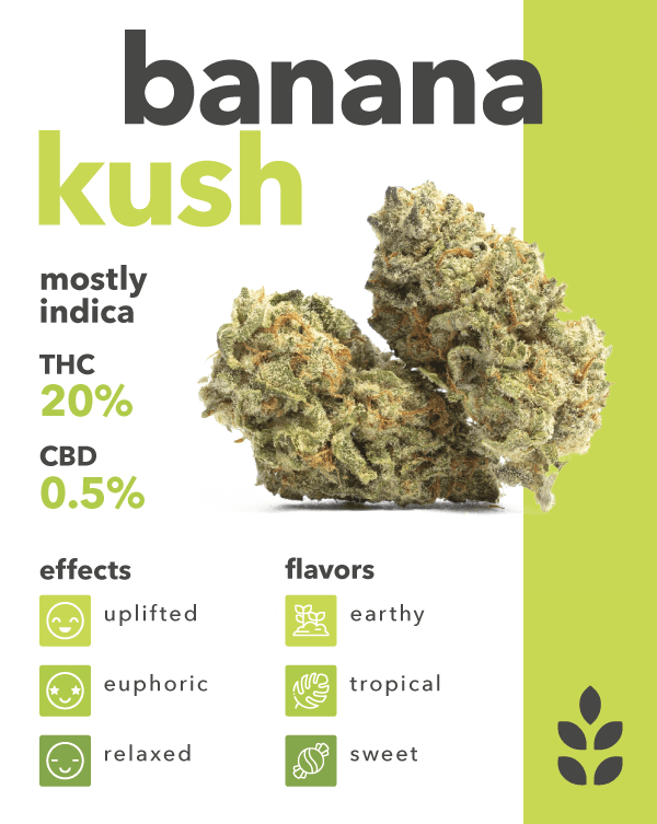 Oakbanana Express ®️ Rated Ⓜ️ [Announcement]