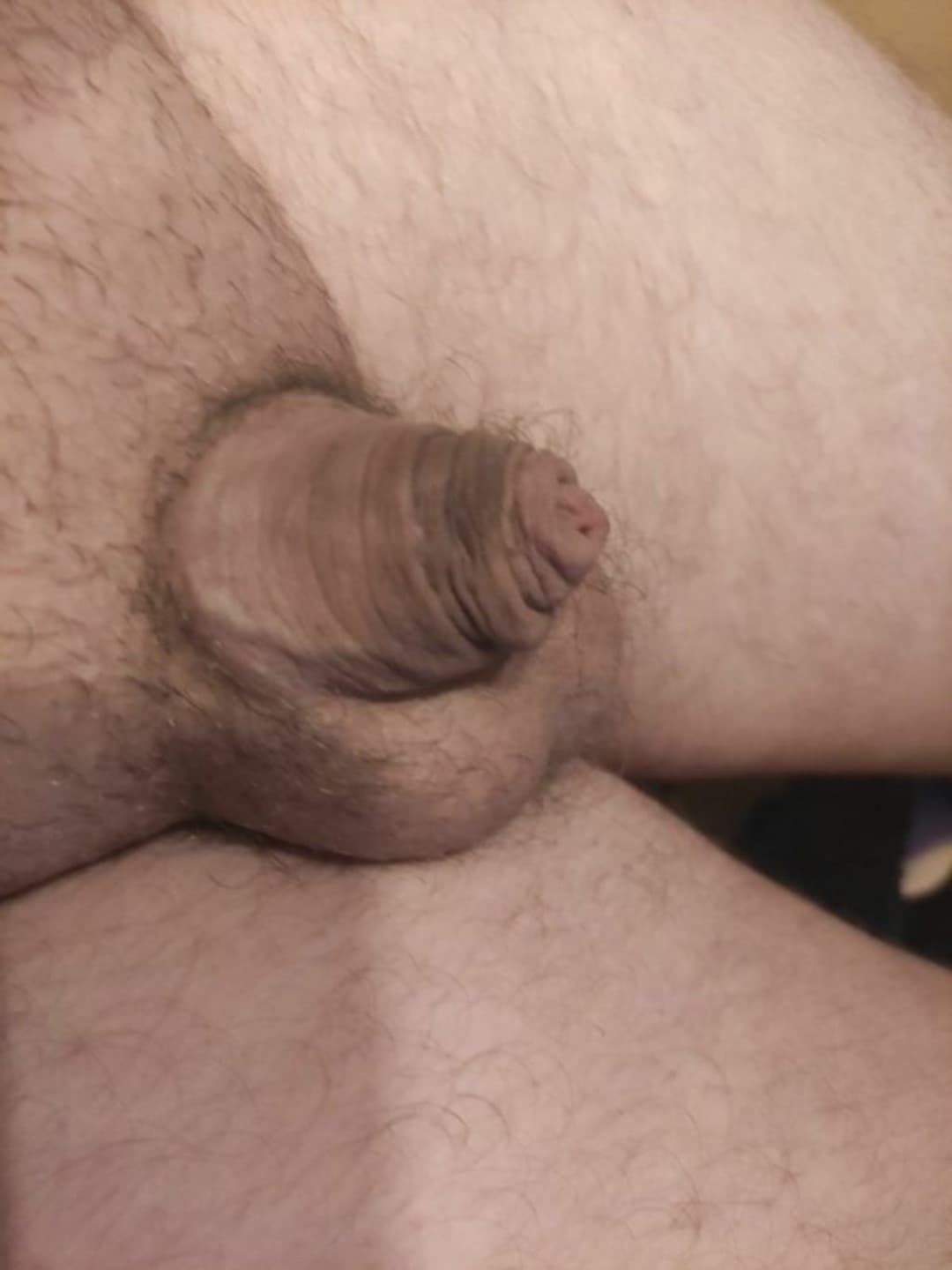 ??mini cock loser sub Marco 30 loves sph and being humiliated! kik: MiniP10