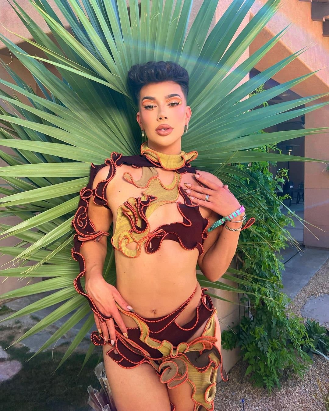 JAMES CHARLES ?? BEAUTIFUL GAYBOY ??????