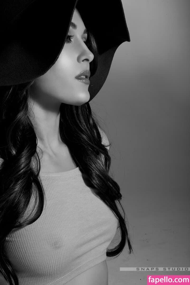 Nikki bella Brie bella