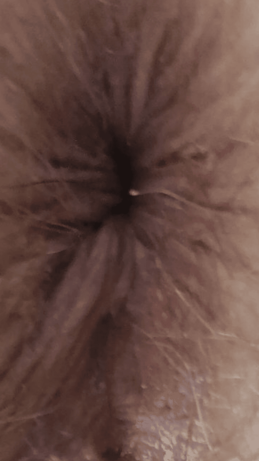 This fat British GILF whore is totally fuckable. Glorious GILF ?