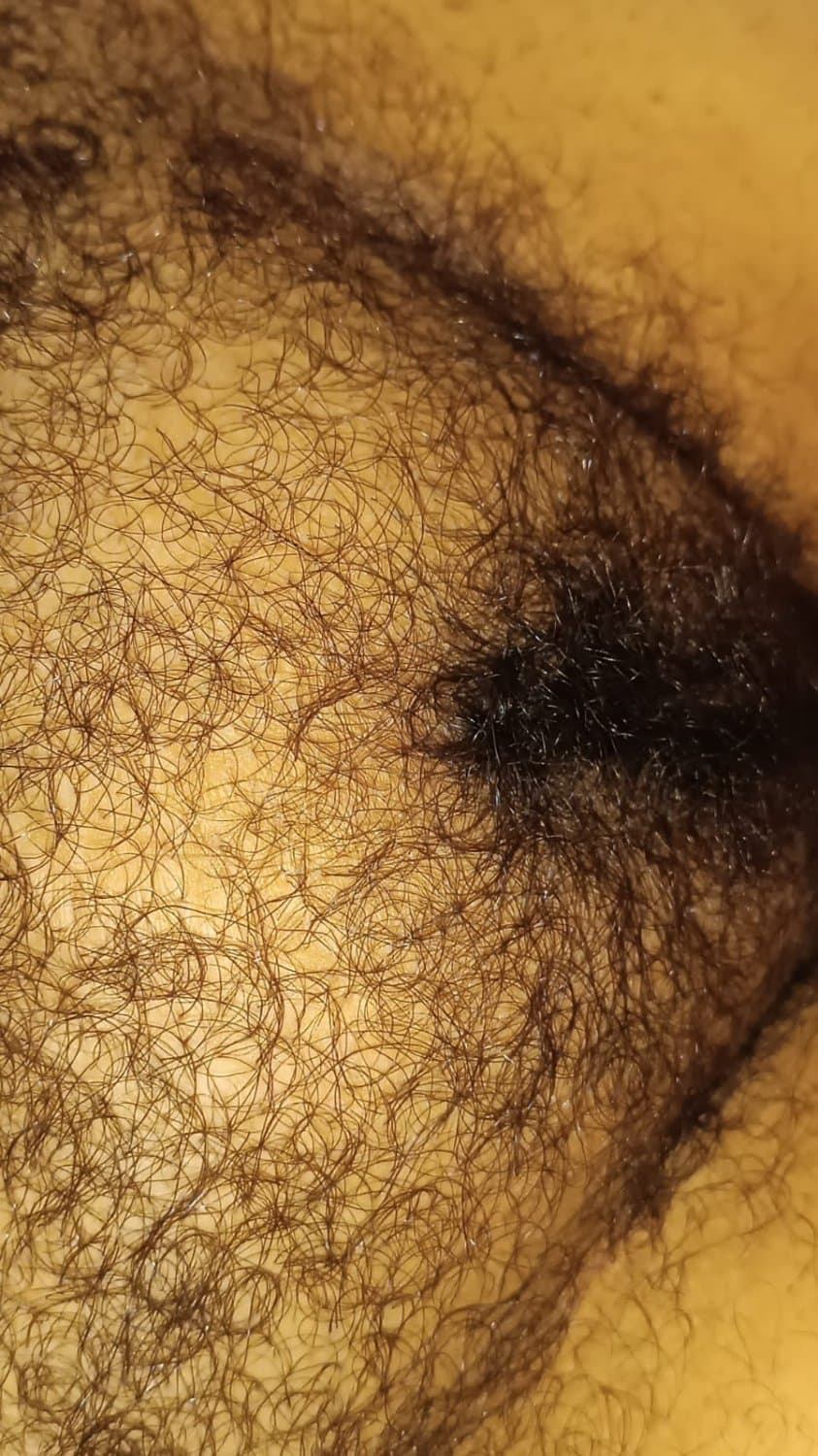 Hairy bush my wife