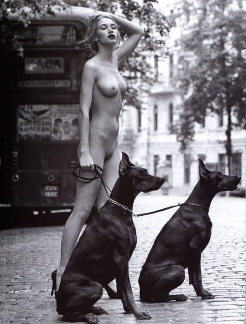 Look what he did to Jenna and what Werner did to him