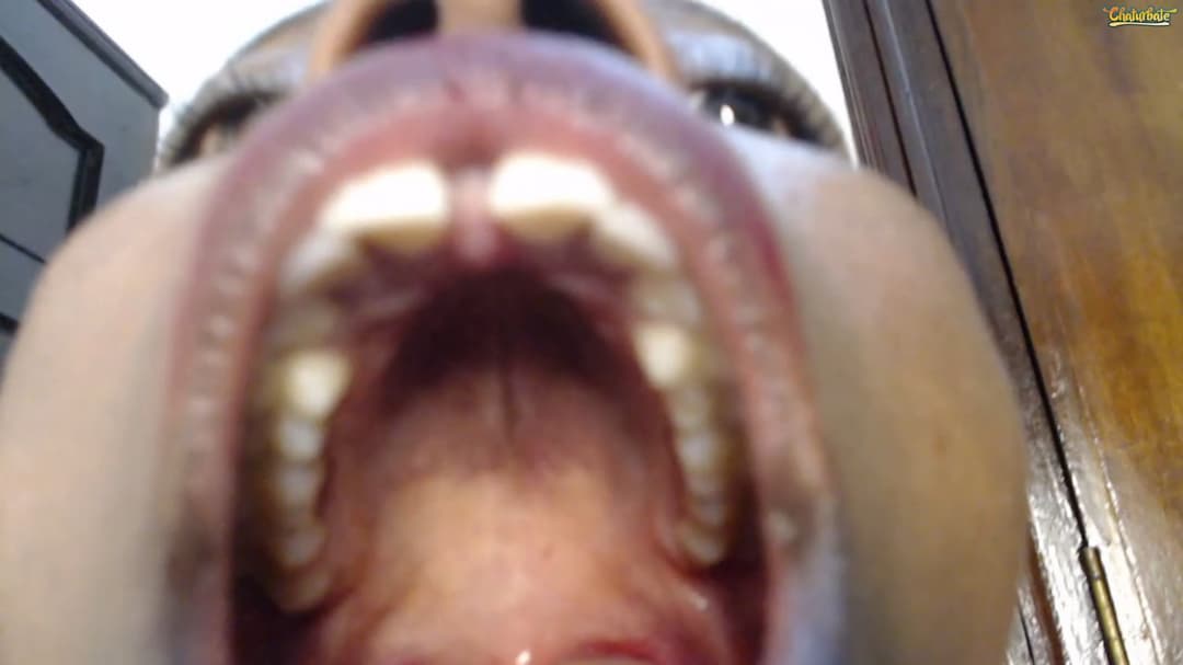 Sexy webcam African babe mouth fetish