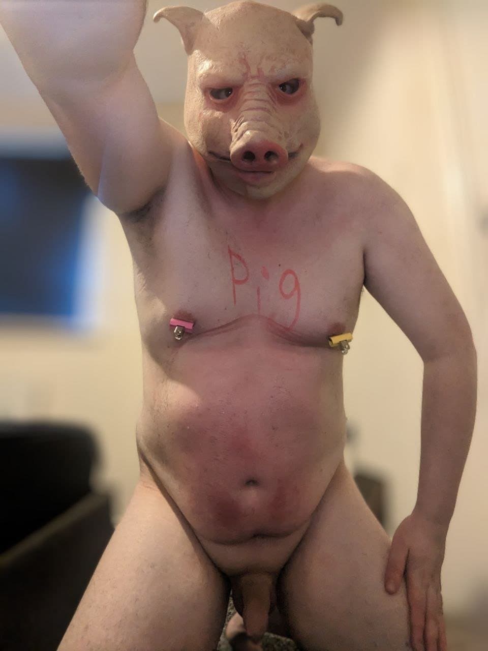 Caged Fuckpig Exposure