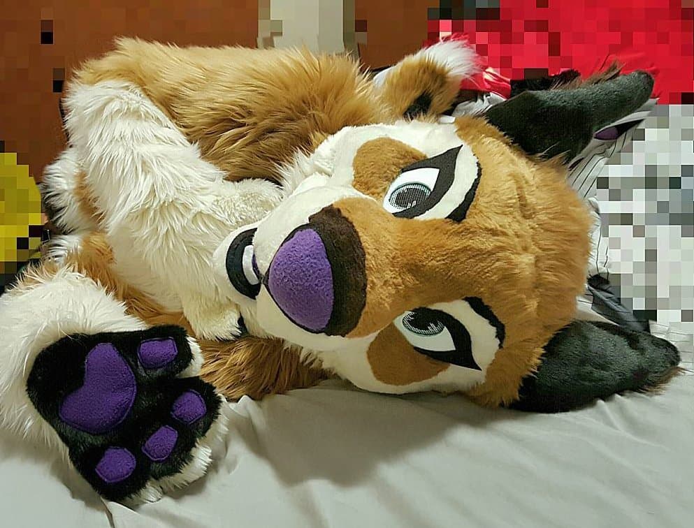 [FURRY] ?? infamous shiba/deer murrsuiter sex tapes (fřëÿäśħîbê)