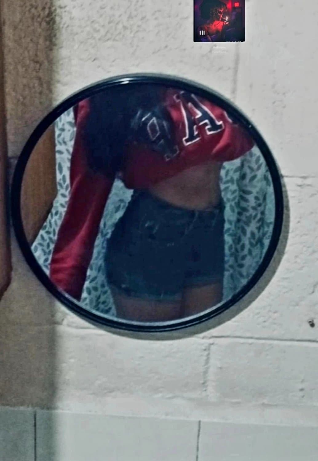 ig de la perrita de hikari ???