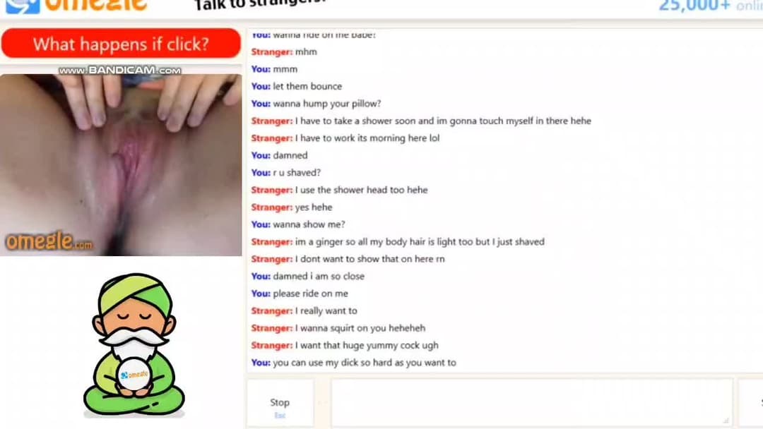 Omegle / flingster / chatrandom by Omegle Guru ?
