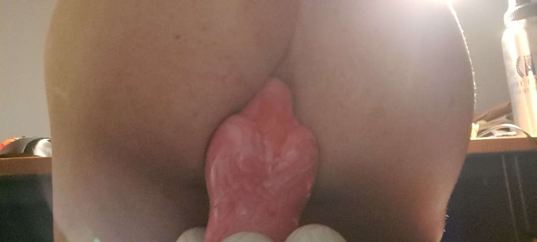 Cute Trans MTF Trans Shemale Femboy riding dildo and gaping her big ass