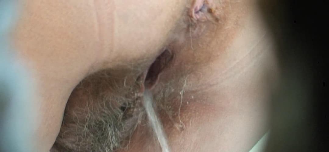 Pussies Pissing
