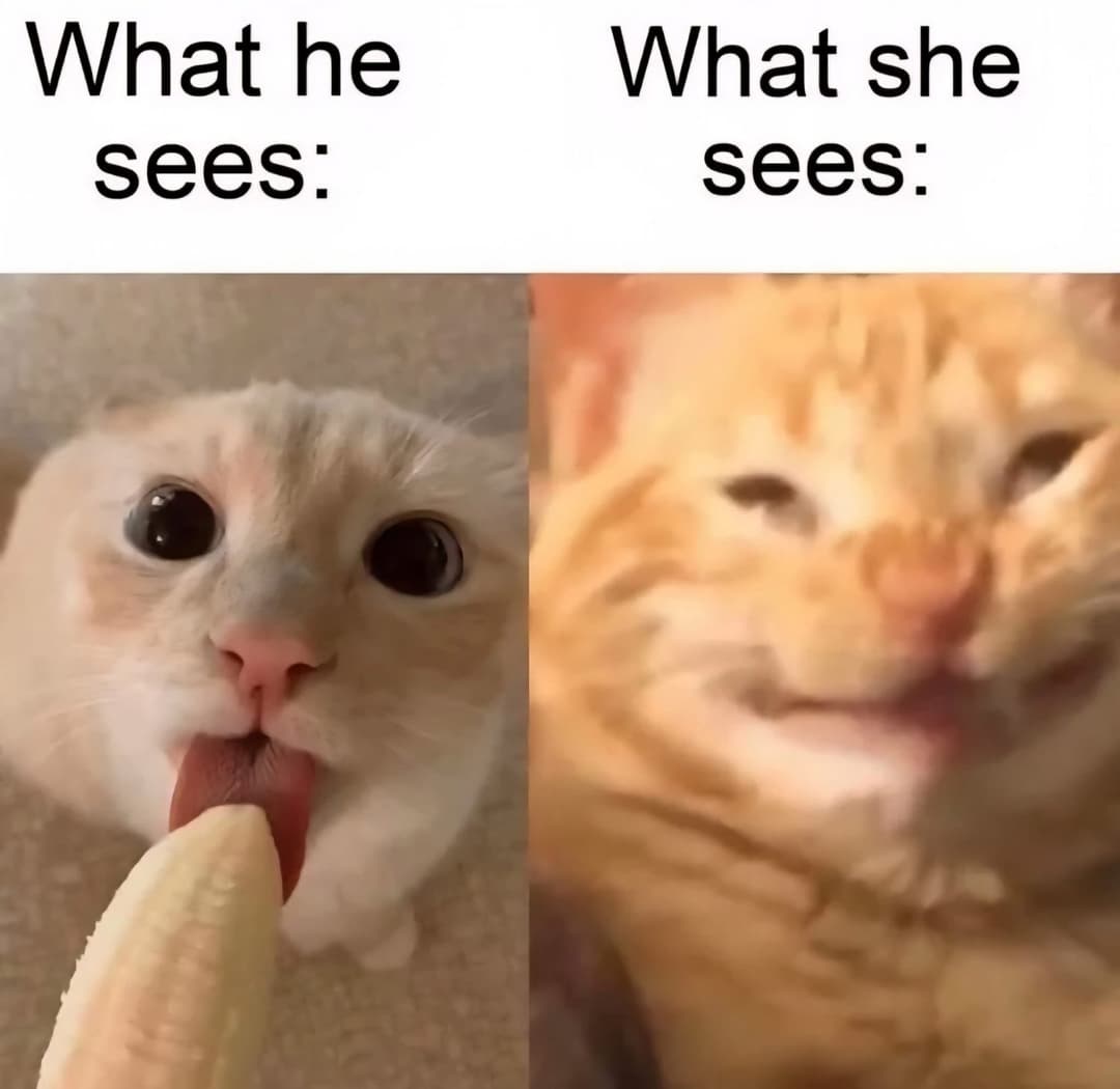 Amateur Forest Blowjob