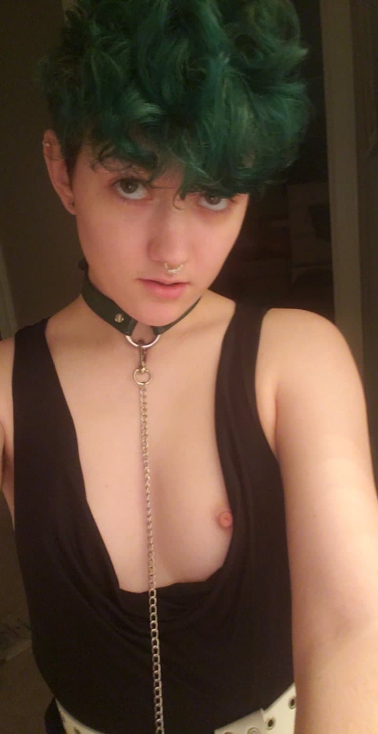 White Stud Dyke Lil Fox