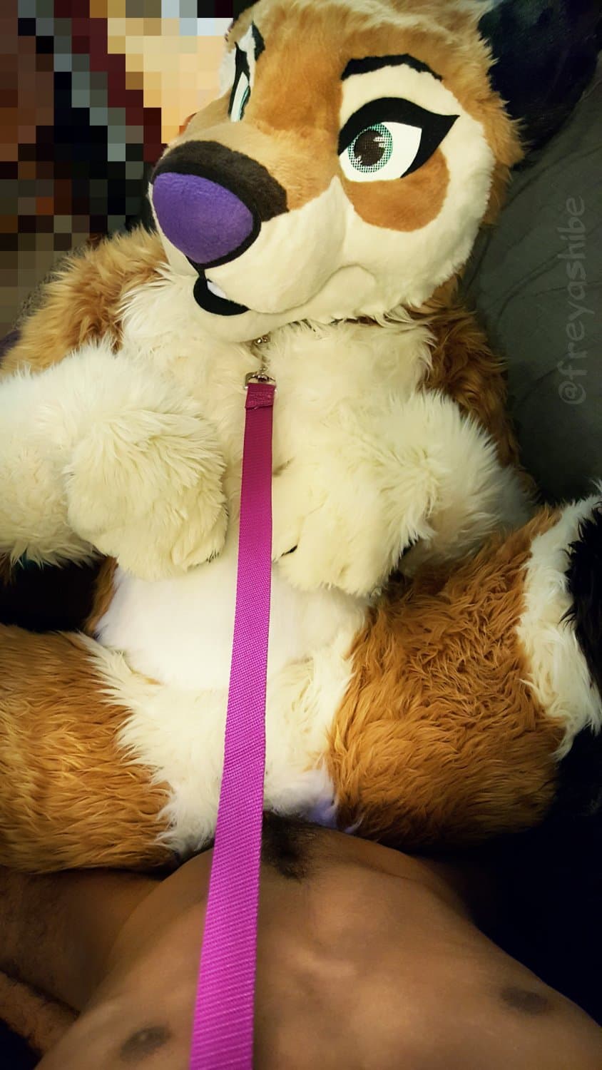 [FURRY] ?? infamous shiba/deer murrsuiter sex tapes (fřëÿäśħîbê)