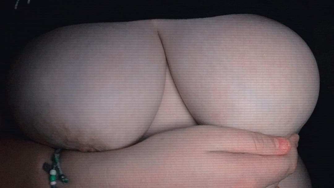 Gordibuena regia tetona