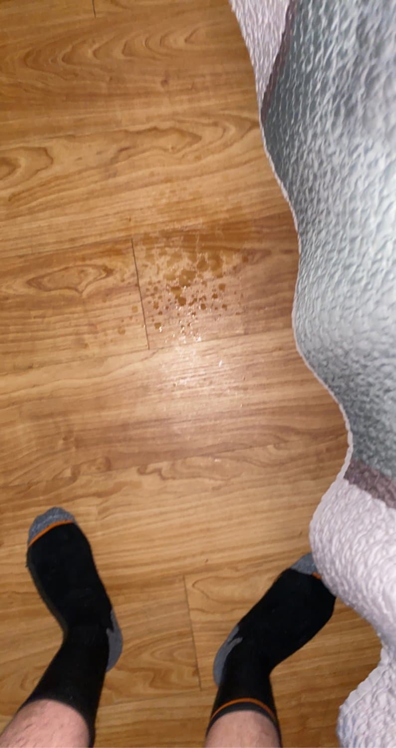 Bryanna J. Milato chick loves the Mexican cock in fresno