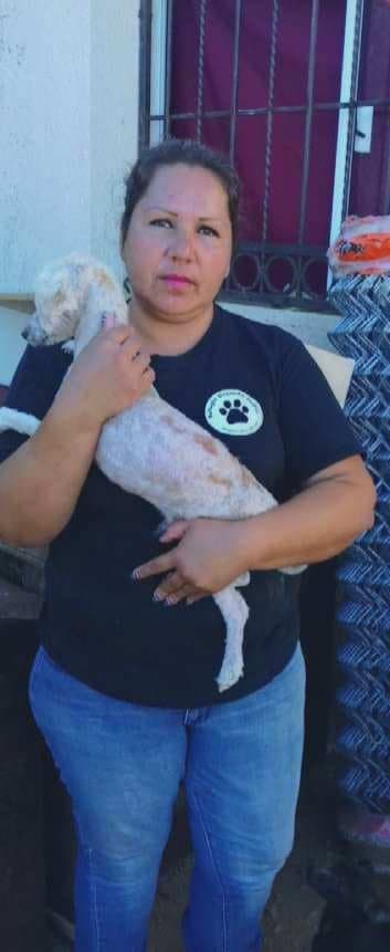 Mi madrastra por andar de puta le destrozaron el culo,el desconocido la obligó a tener anal