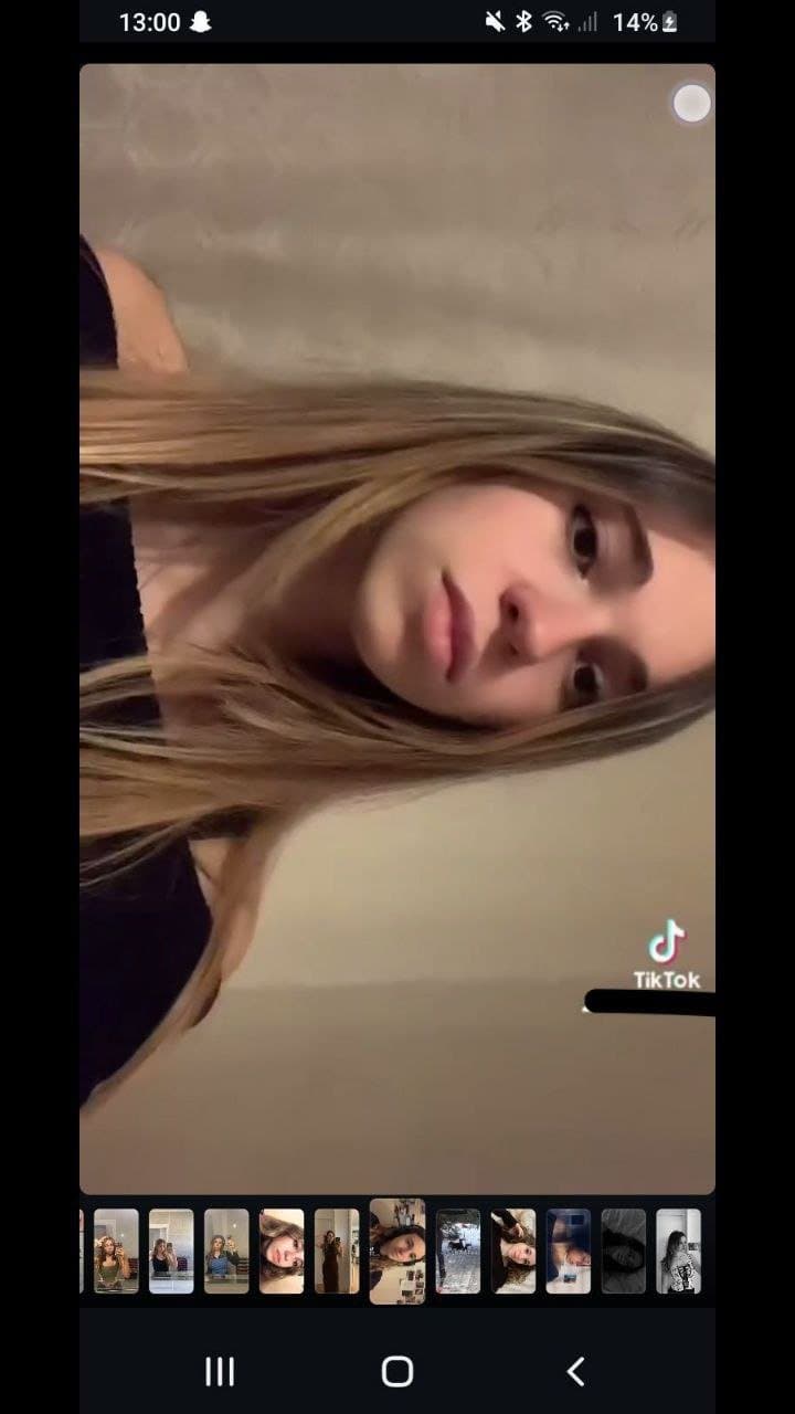 Chienne française exposé