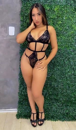 Click to view full size Provando lingeries