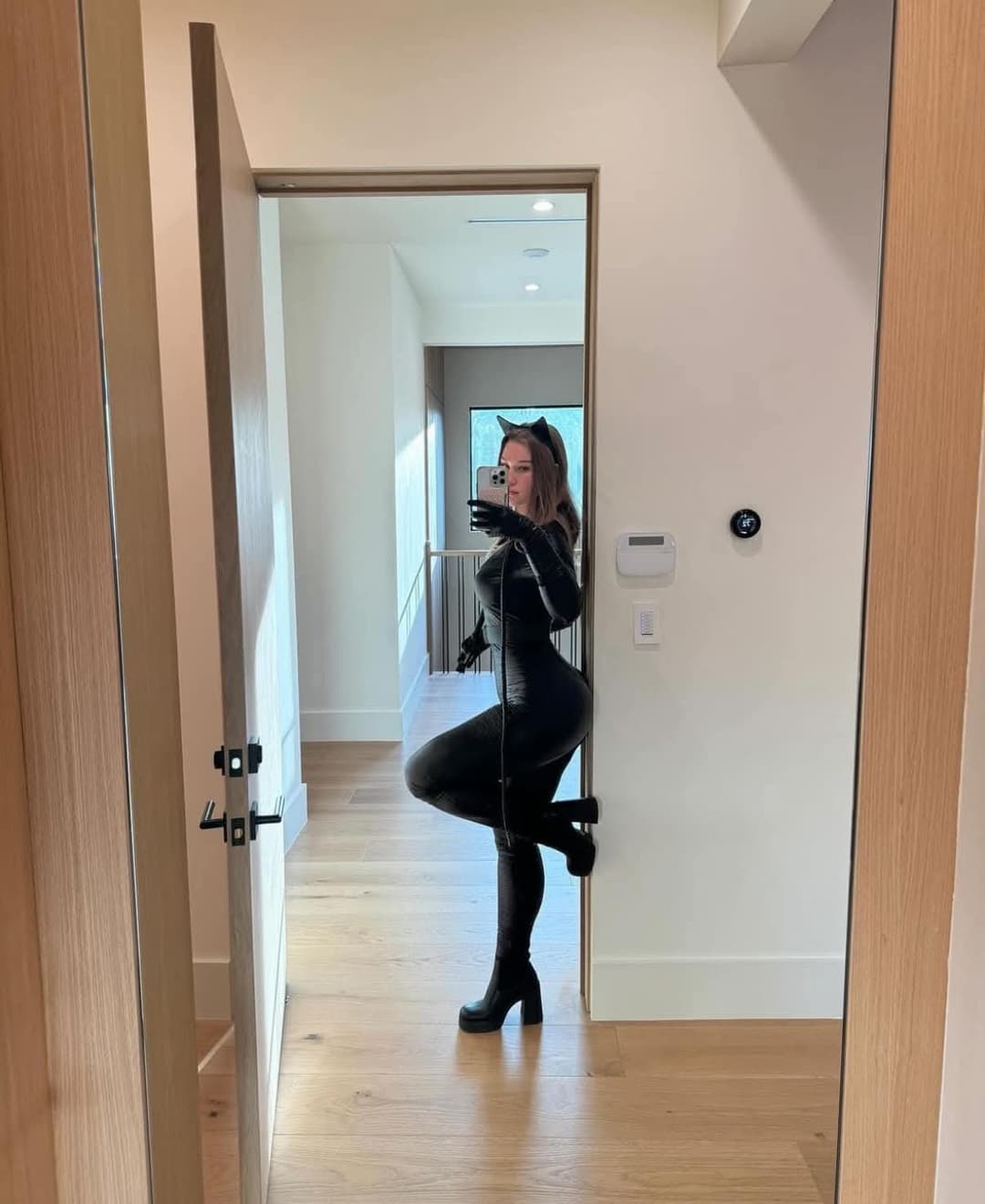 Click to view full size Sondra blust catwoman