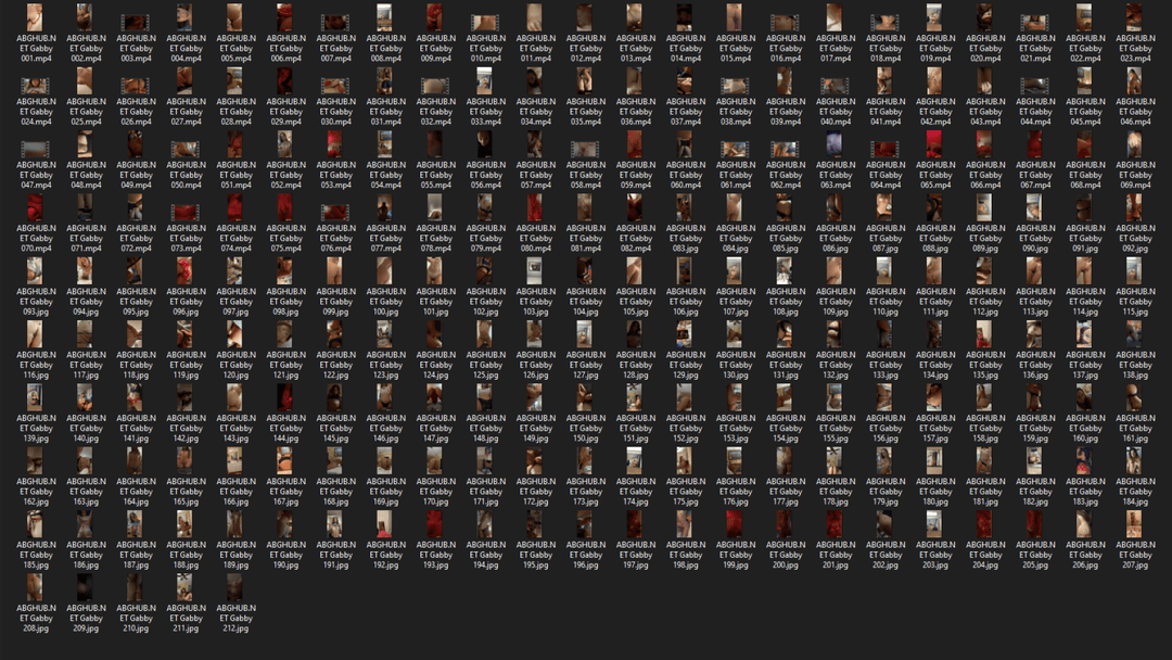 tropical luna havana exotic passion flame fiesta mexico