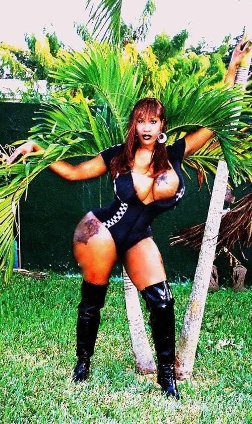 Sexy Big Booty Shemales Trannies Transexuals