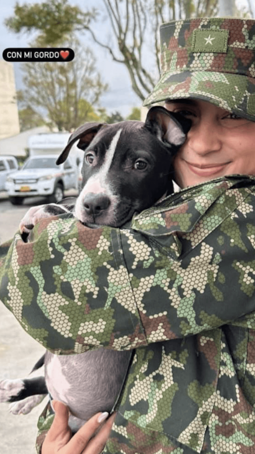 Thank you for your cervix whore. Deep asshole to mouth skills on this slag.