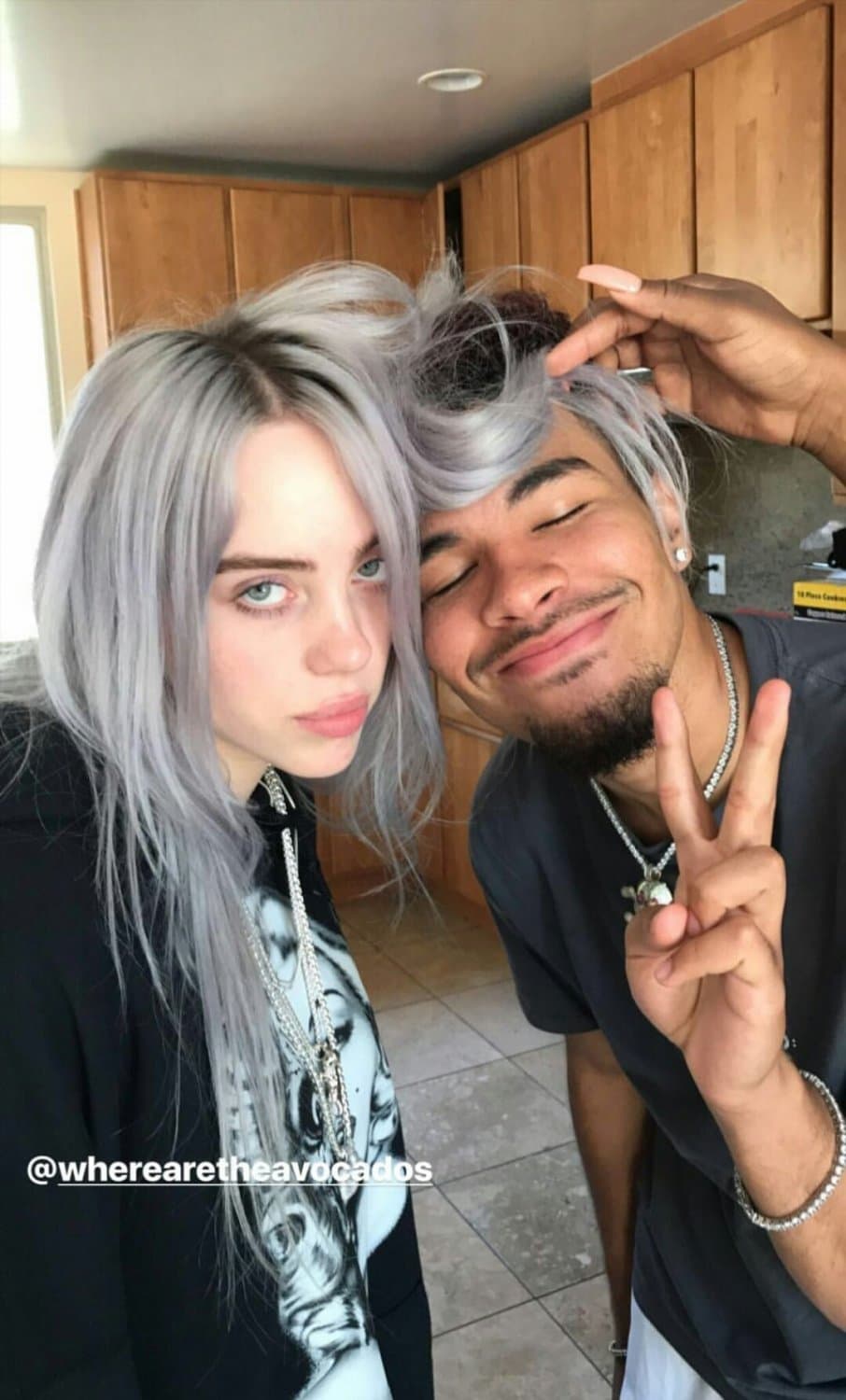 Billie Eilish Silver Hair