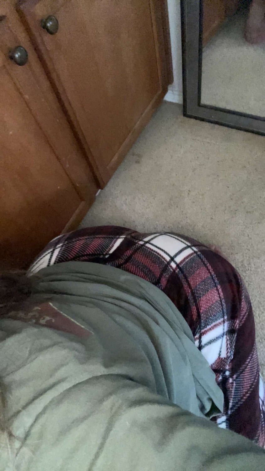 In need of a new owner.