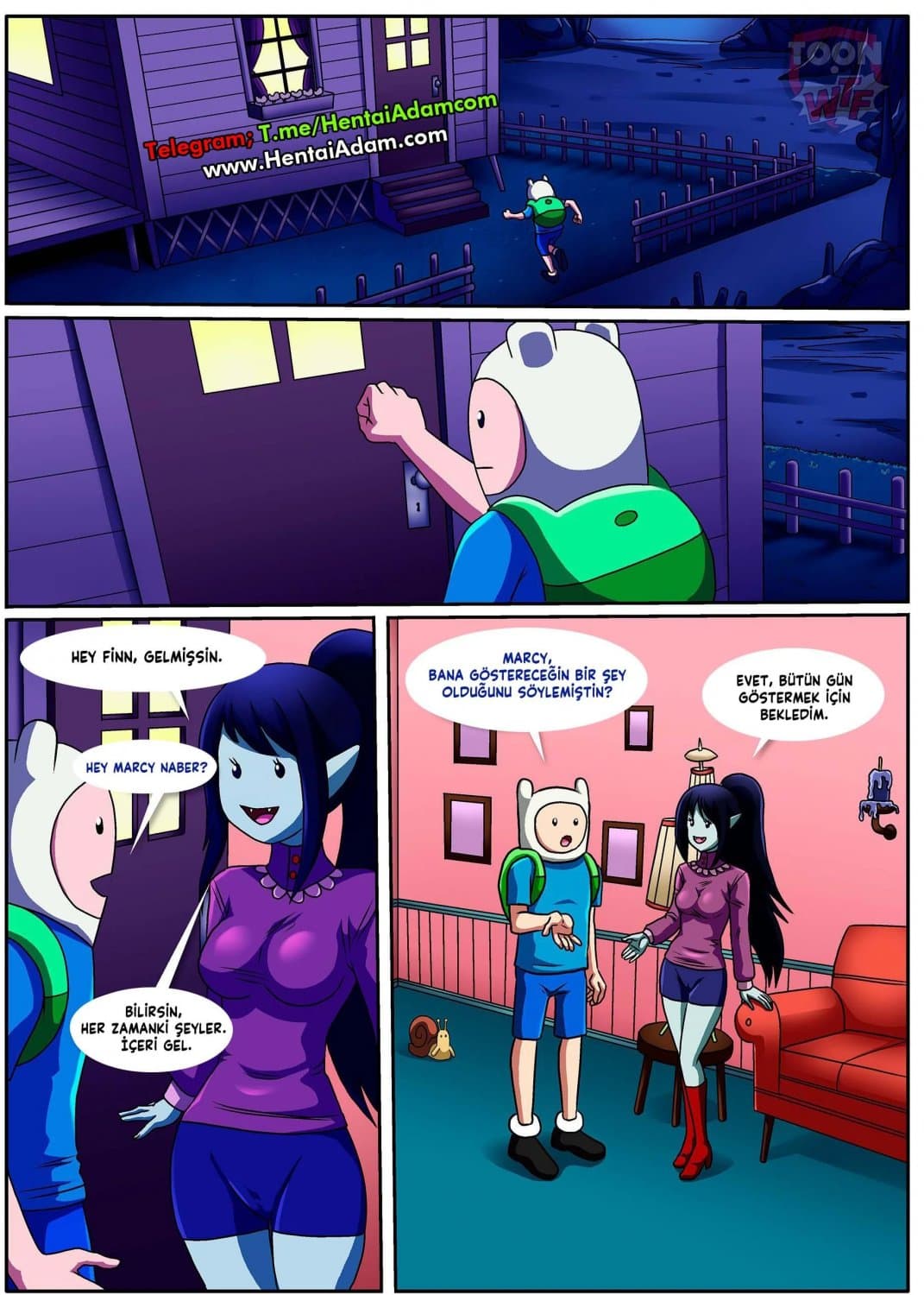 Adventure Time Hentai ?