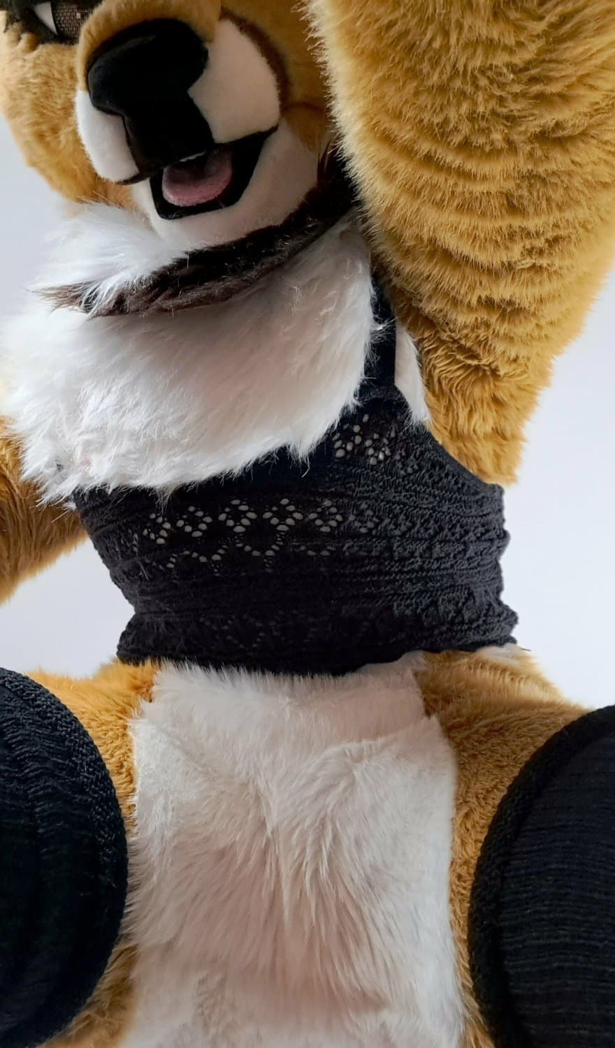 [FURRY/GAS] ?? deer fursuiter teasing and having gas (ļôťûșľâfâŵń/jǎčķâļșťŷļê)