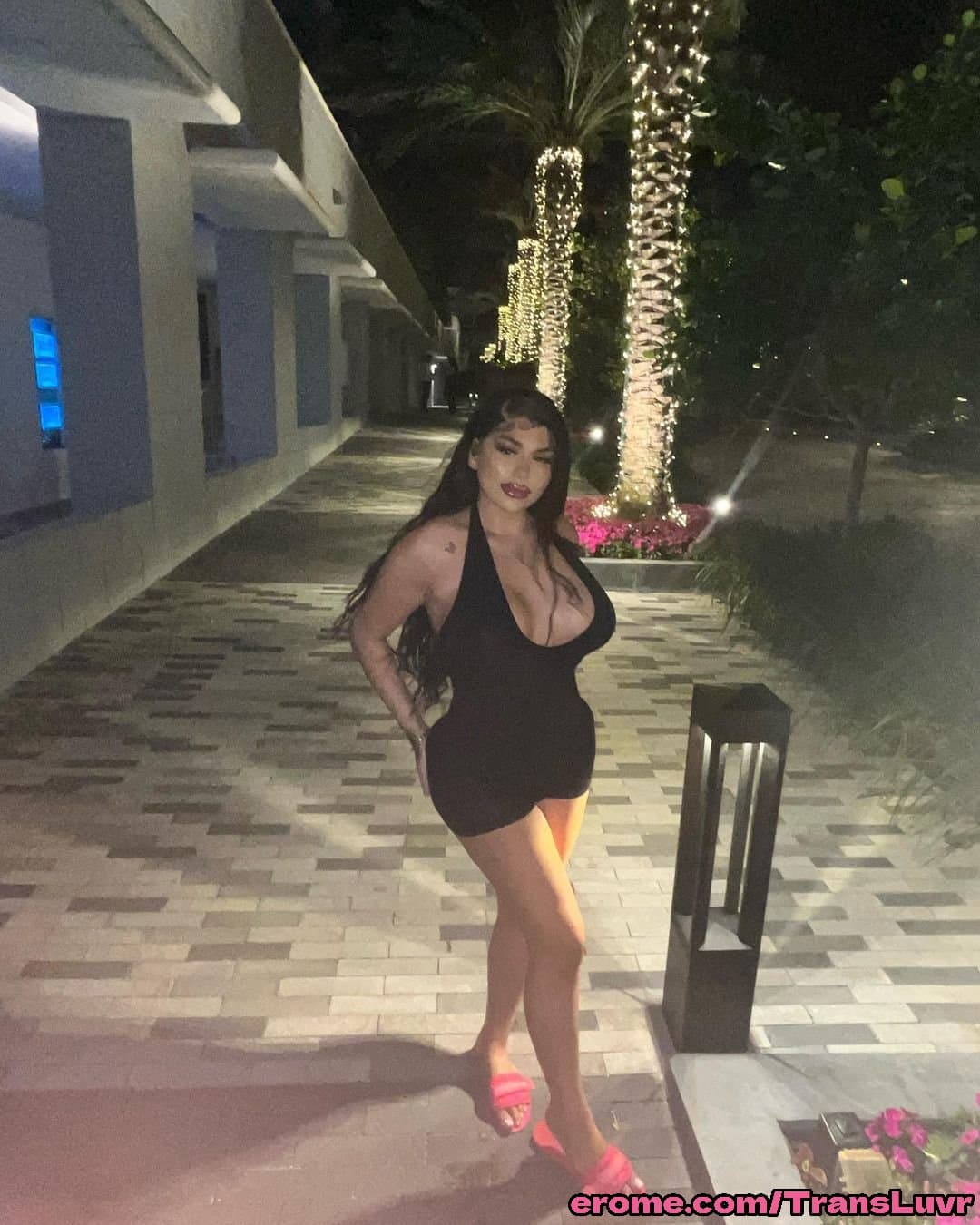 Big Ass Latina Trans Sucks BBC And Get Fucked [Femboy, Ladyboy, Shemale, Sissy, Trap]