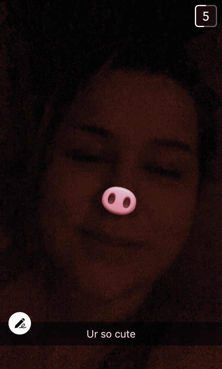 pig dumb ugly disgrace