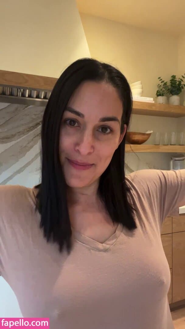 Nikki bella Brie bella