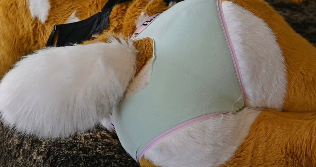 [FURRY/GAS] ?? deer fursuiter teasing and having gas (ļôťûșľâfâŵń/jǎčķâļșťŷļê)