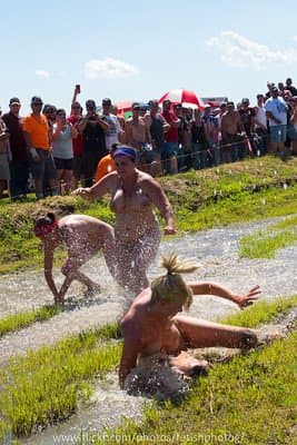 IOWA TITS BIG AND SMALL